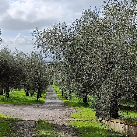 Casale Le Bimbe